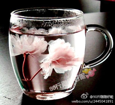 百合10g,番泻叶1g,天冬10g,红枣3颗,桑葚10g,荷叶2g,陈皮3g,桑叶 10g图片