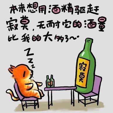 猫猫语录 寂寞君的酒量.