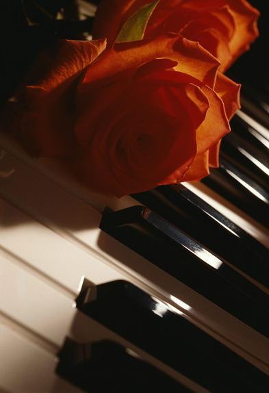 花与钢琴