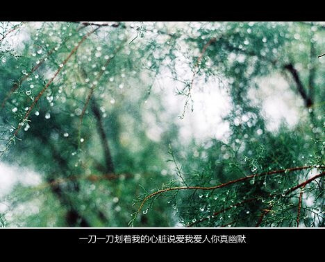 一刀一刀划着我的心脏说爱我,爱人你真幽默