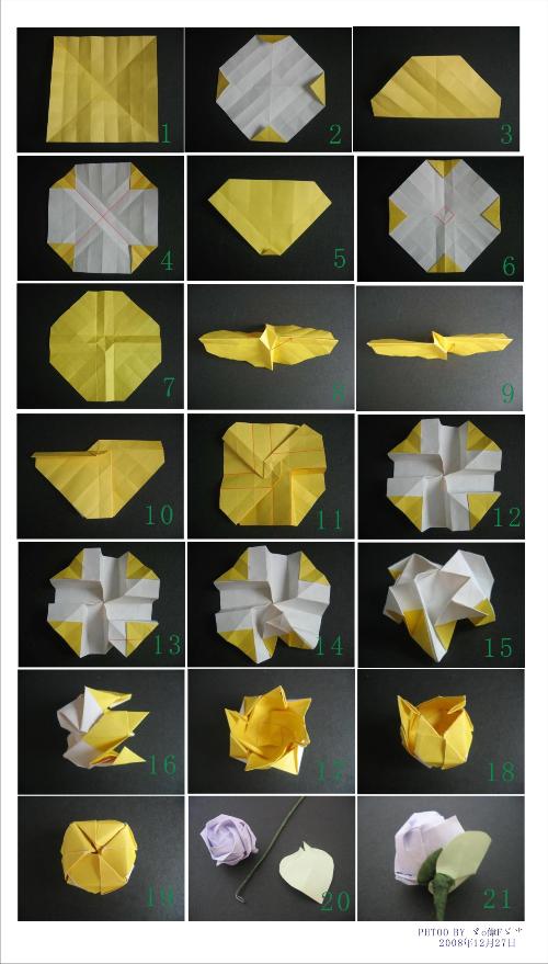 纸巾玫瑰花的折法简单图片