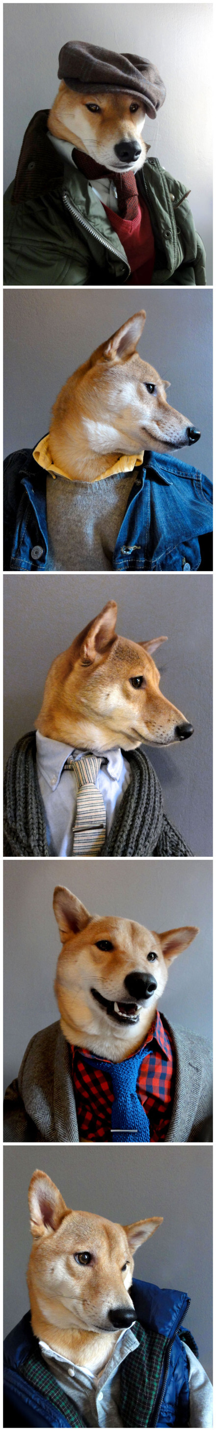 狗狗的衣冠禽兽照