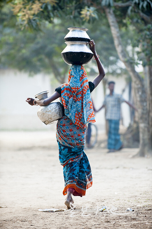 头顶上的孟加拉,之,瘦的成了一道蓝色闪电.