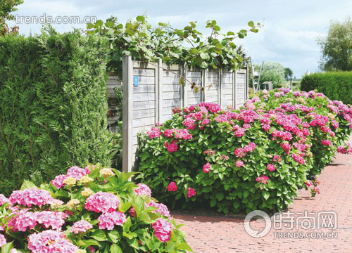 【花园艺术 设计与种植养护】平板式艺术设计:庭壁的艺术&