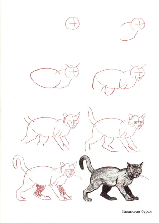 mur猫画法图片