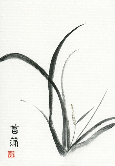 水墨本草-菖蒲