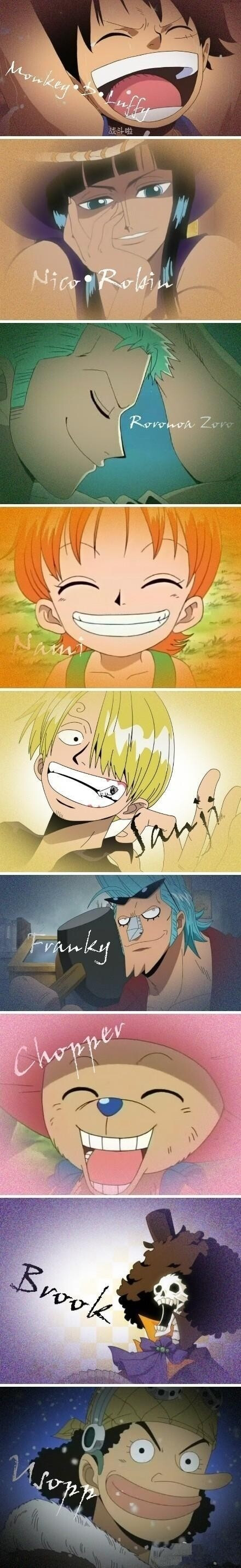 海贼王61luffy zoro nami usopp sanji chopper robin franky brook