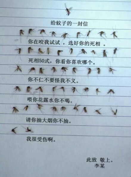 【精彩一刻】之生活趣事儿.蚊子,你的信!曦