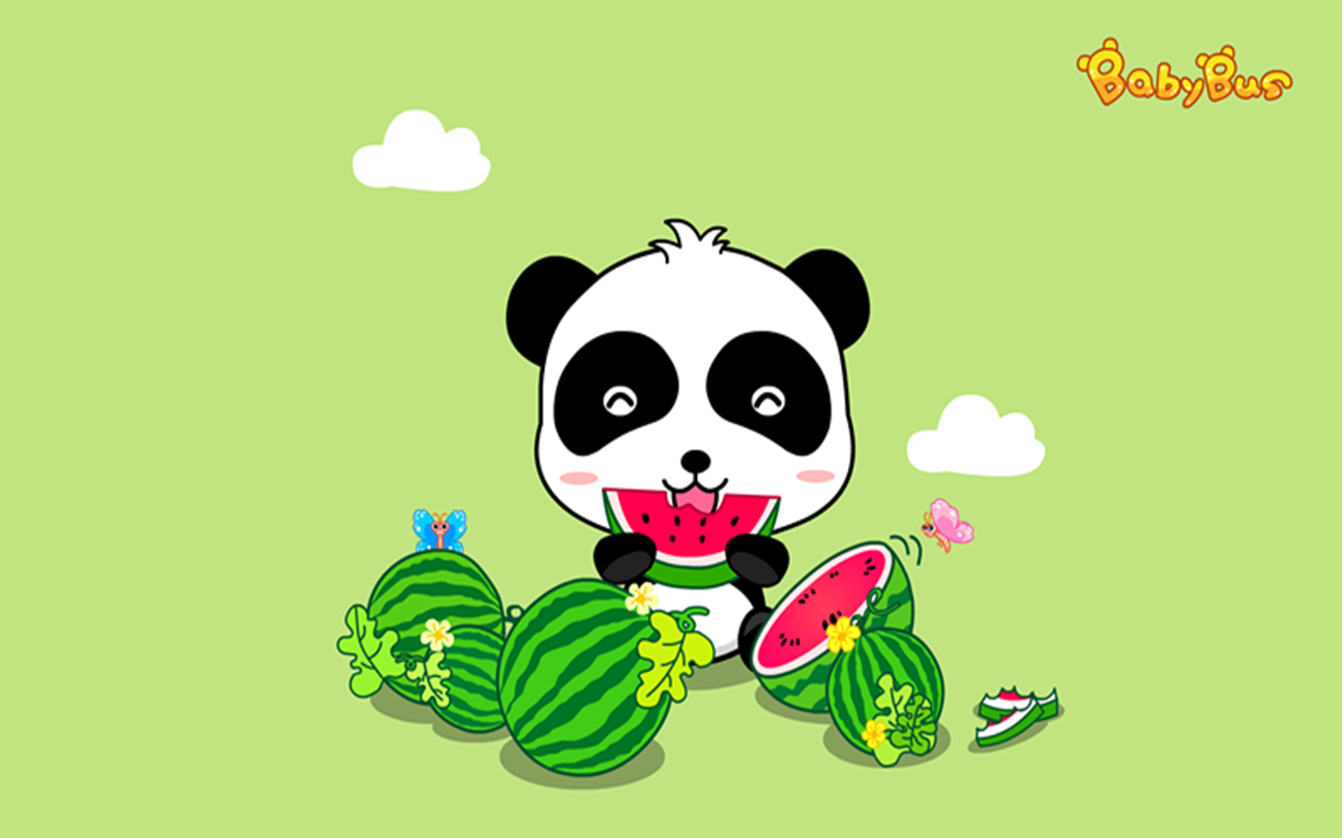 绿色的格调,带给你一种清新脱俗的感觉,快来一起分享壁纸吧!