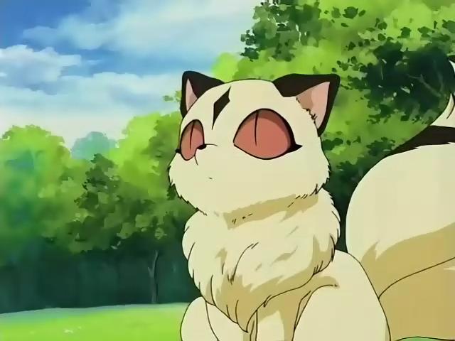 犬夜叉.云母