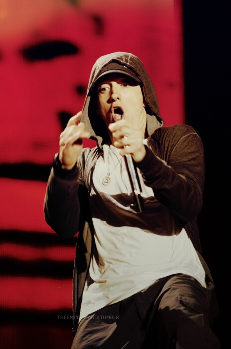 eminem 艾米纳姆 em 痞子阿姆 slim shady 姆爷 stan