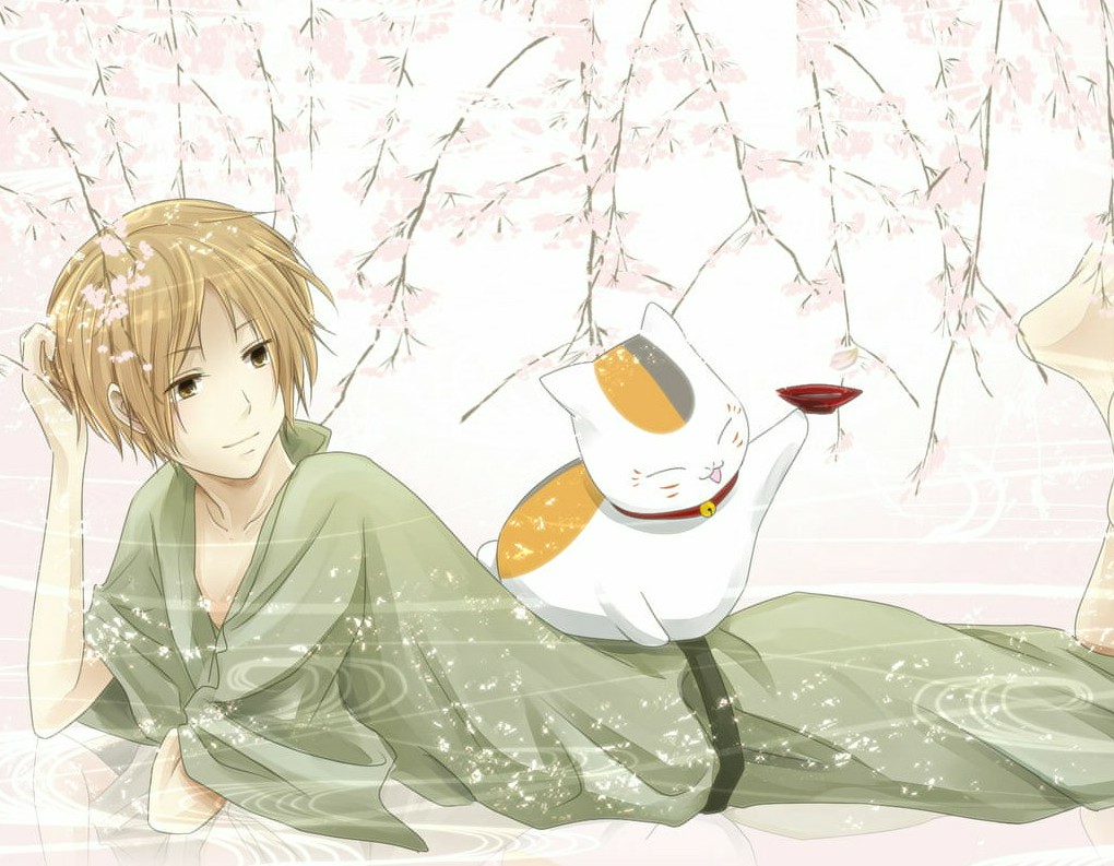 夏目 壁纸