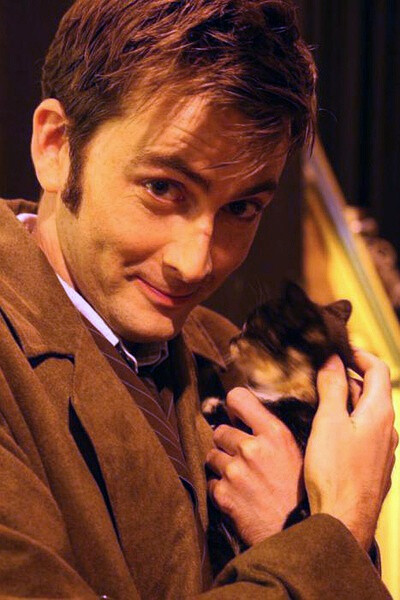  doctor who >大卫·田纳特 david tennant