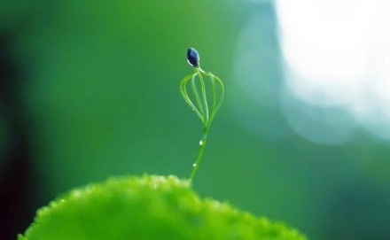 人生,总会有不期而遇的温暖,和生生不息的希望.