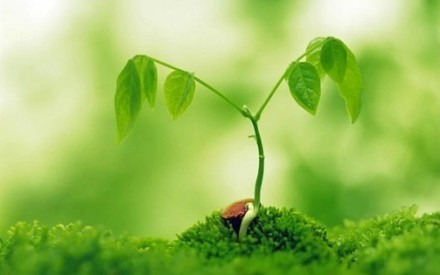 人生,总会有不期而遇的温暖,和生生不息的希望.