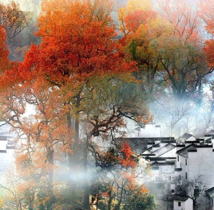 却道天凉好个秋