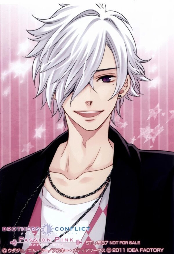 兄弟战争〗插画 动漫 brothers conflict 椿