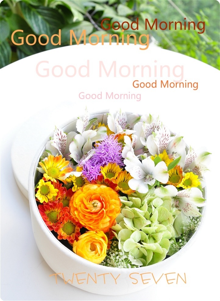 morning的图片,早安goodmorning图片 最美的清晨,因为有你!good morning!