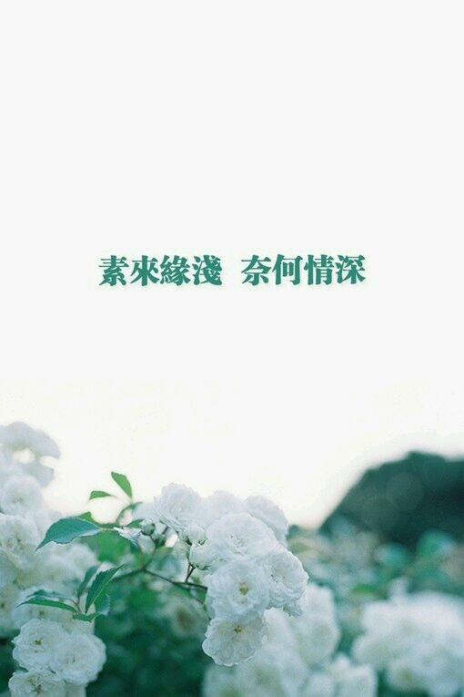 一花一世界 一木一春秋 「文字」篇