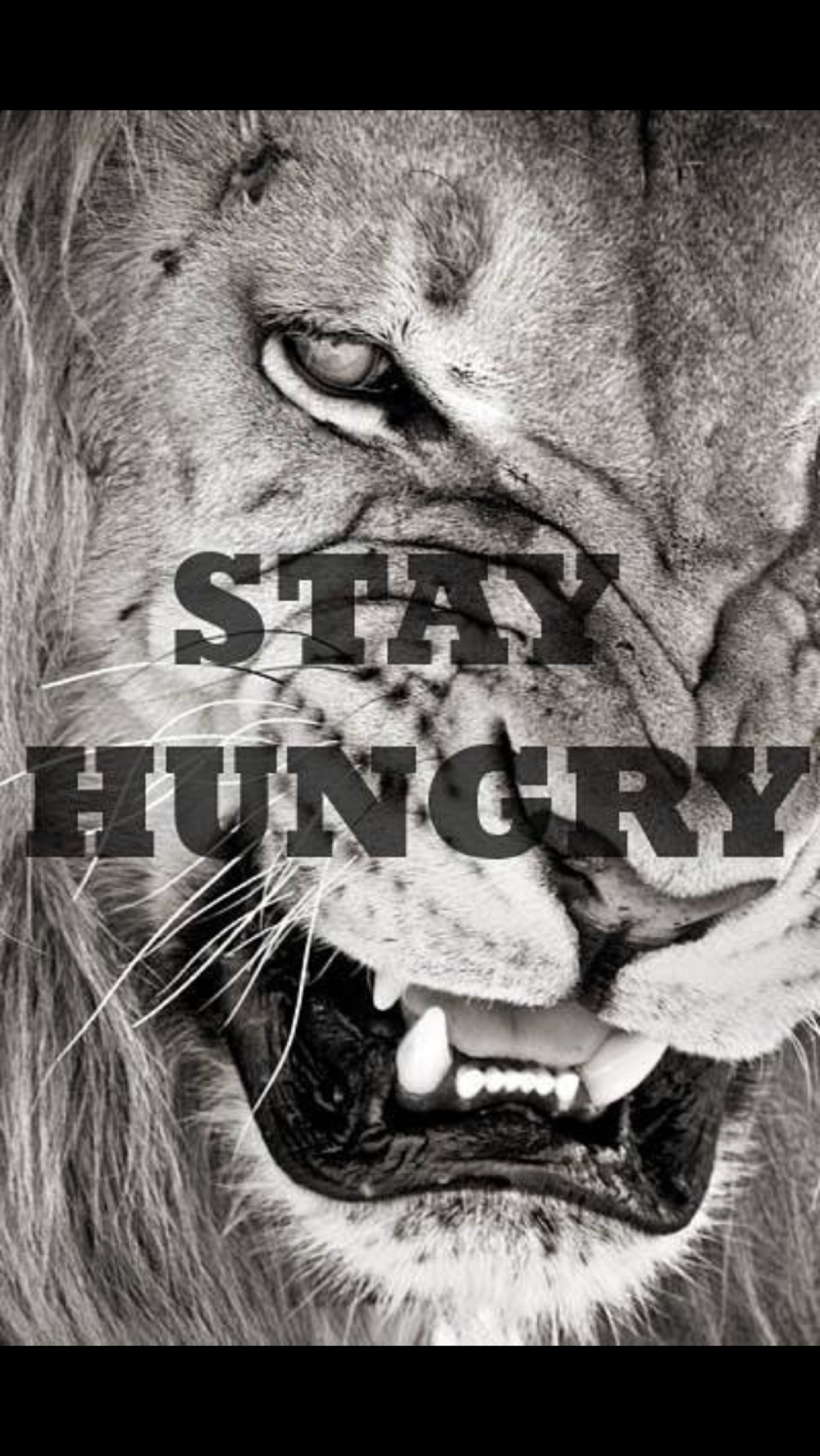 stay hungry