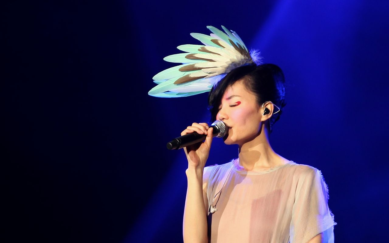 2010 — 2011 王菲演唱会