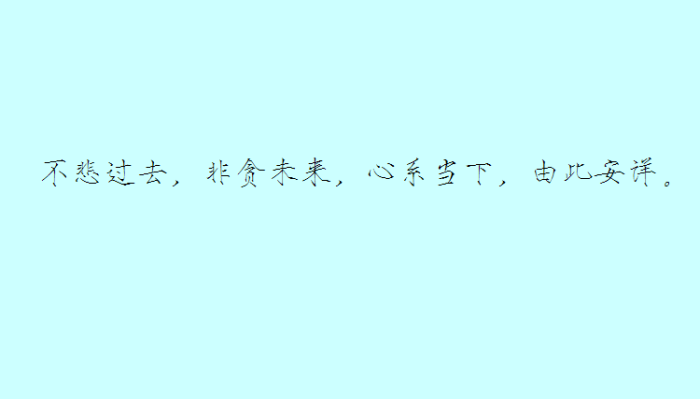 不悲过去,非贪未来,心系当下,由此安详.