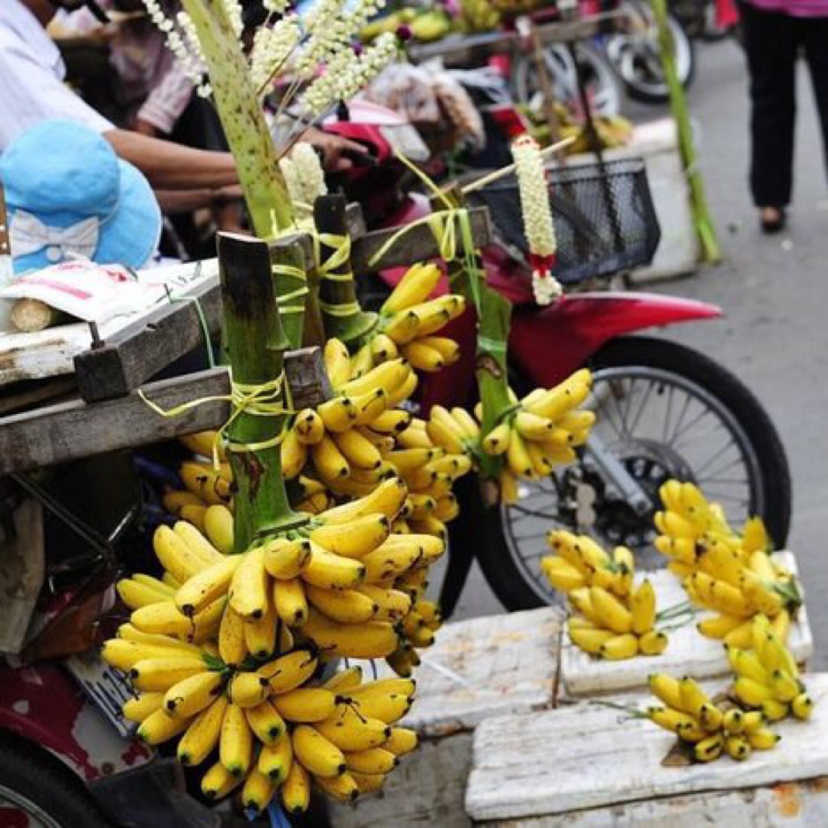 吃芭蕉过敏的图片大全图片