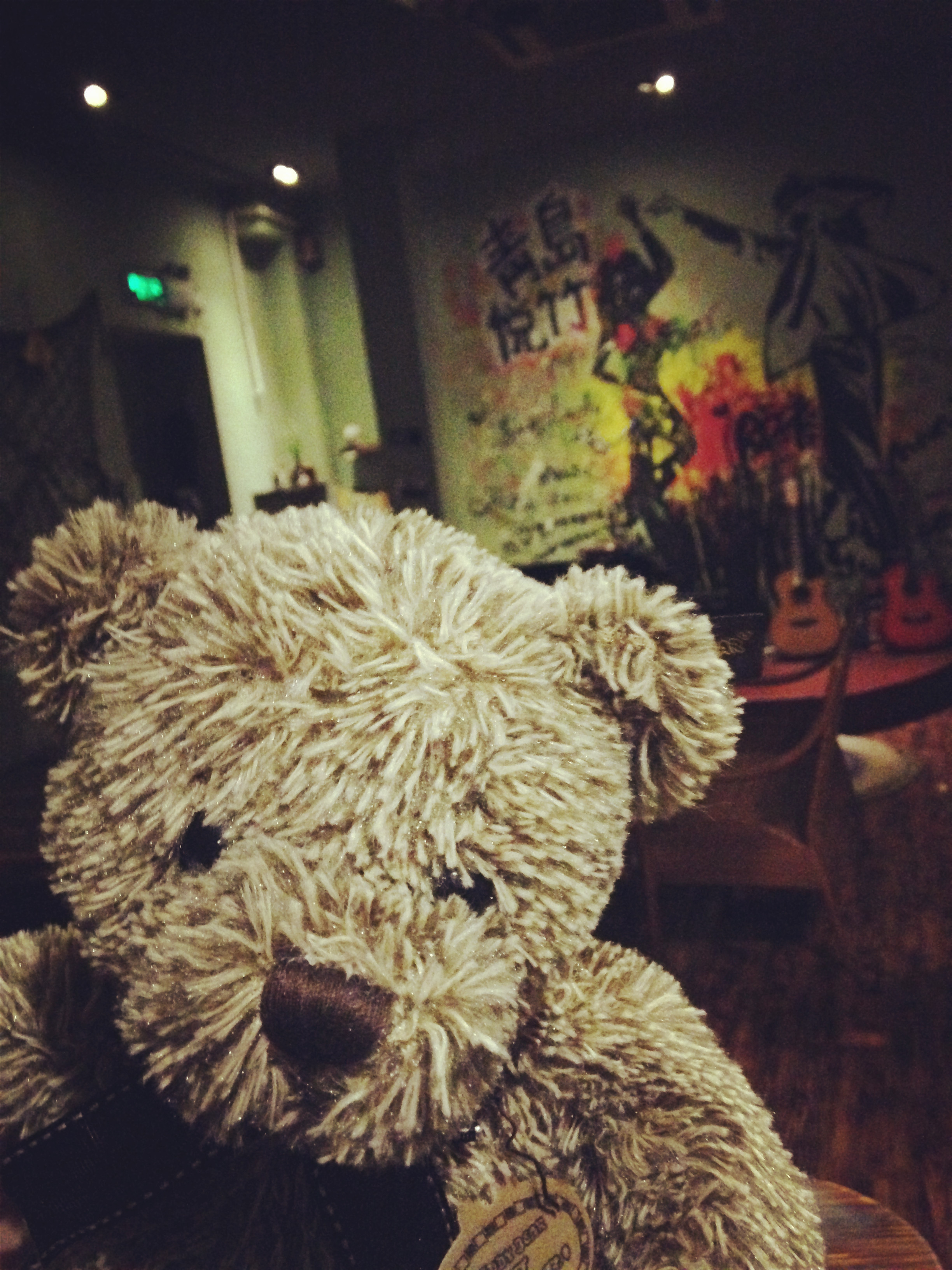 酒吧的泰迪熊,来个自拍吧,么啊