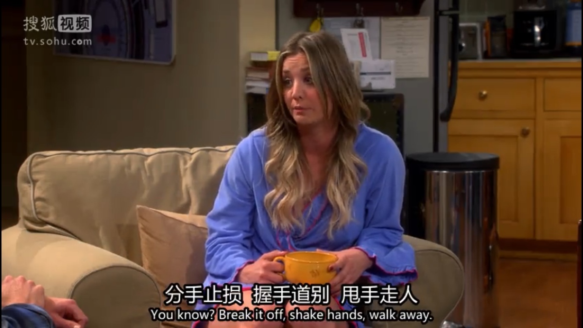 生活大爆炸.