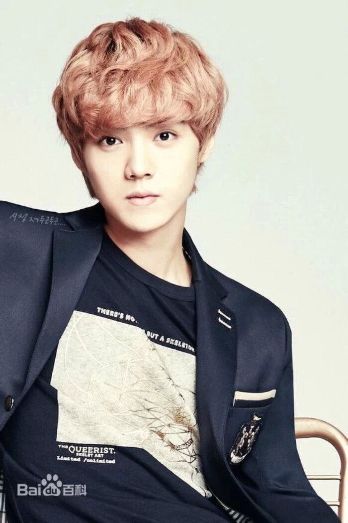 exo-鹿晗