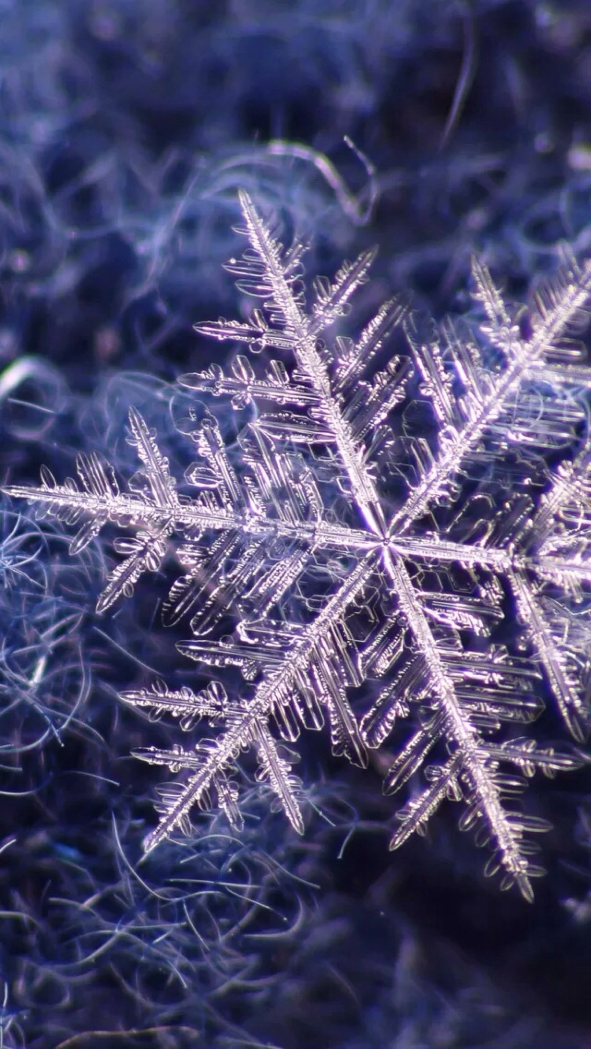 雪花