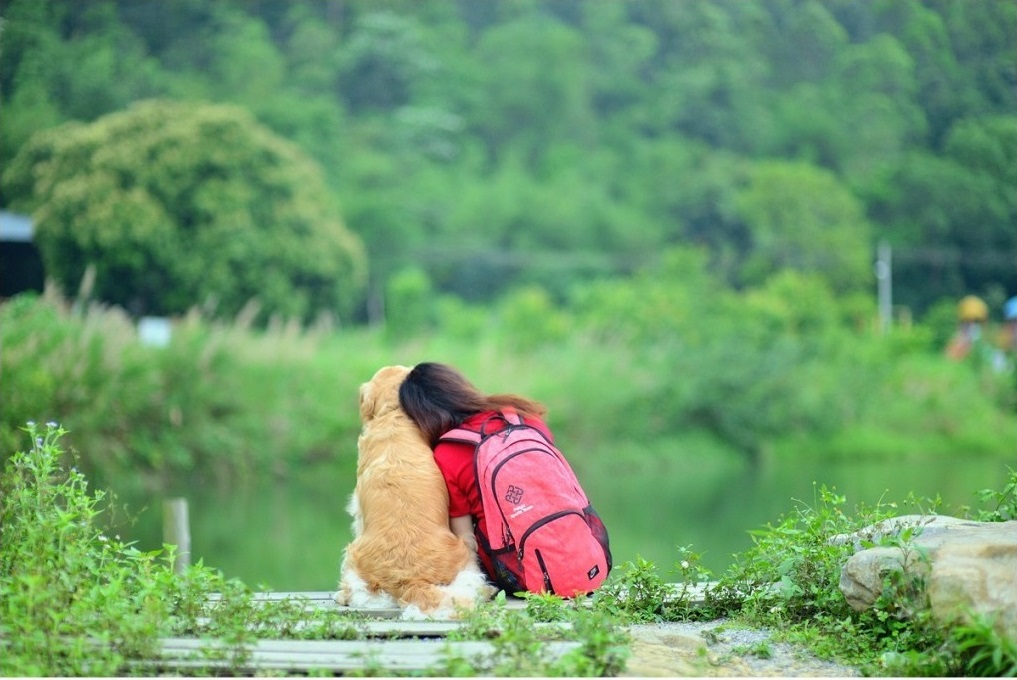 女孩与金毛 图片来自@北门摄影