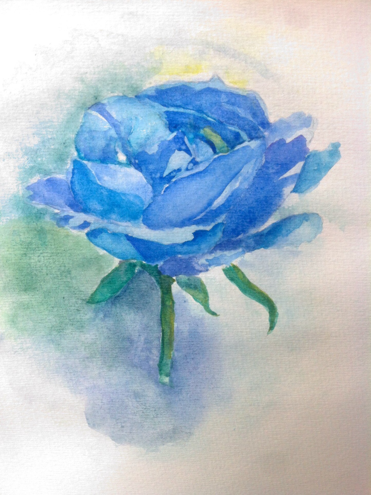 蓝玫瑰水粉画图片