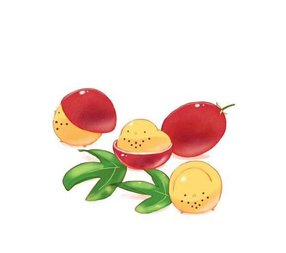 百香果 