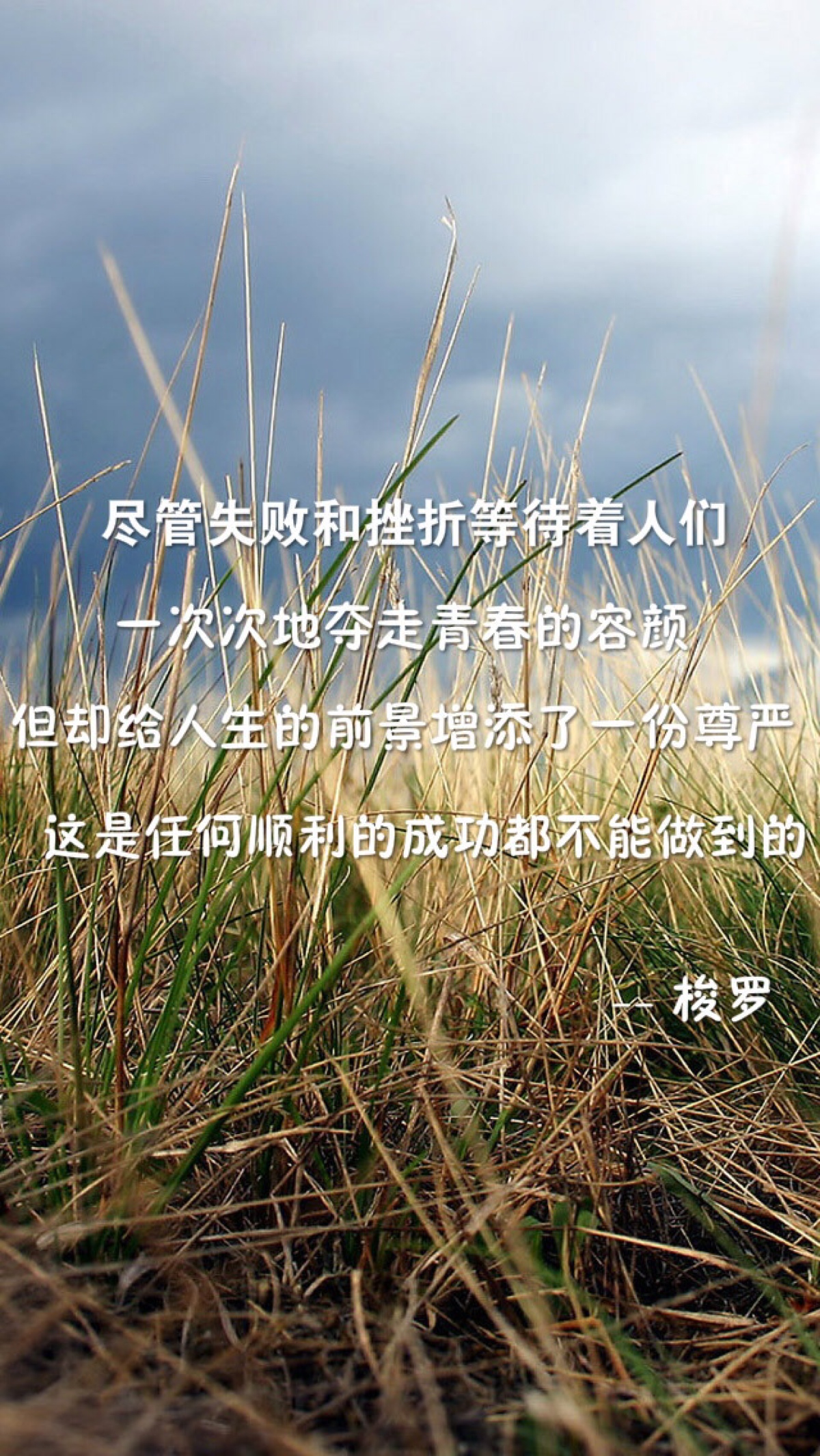 也许别人不经意对我的好.我会一直记得.我不坚强也不爱防备.