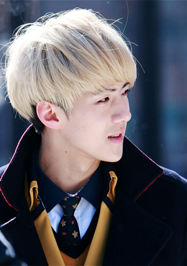 exo 吴世勋 sehun