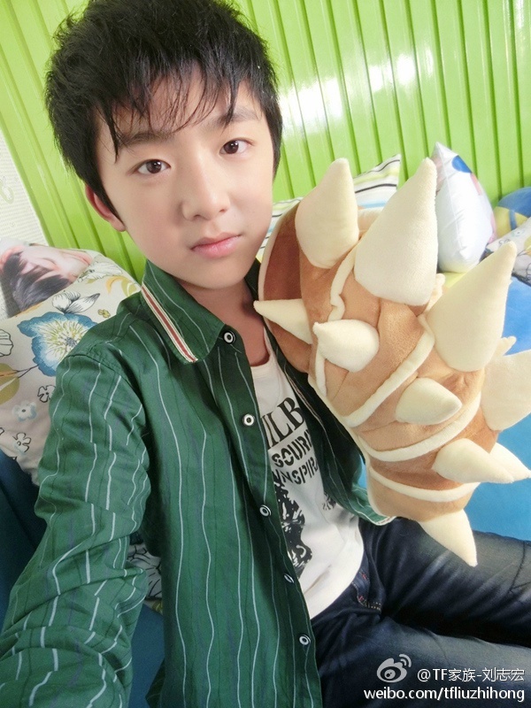 tf家族-刘志宏20140330