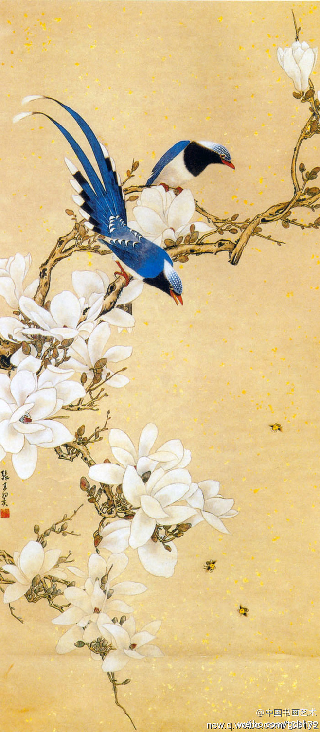 壁纸手机鸟类鸟国画658_1505竖版竖屏情趣动物床v壁纸南岸图片
