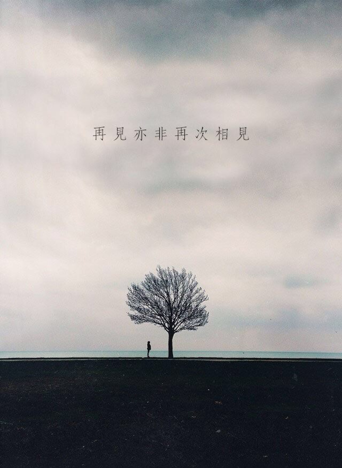 再见