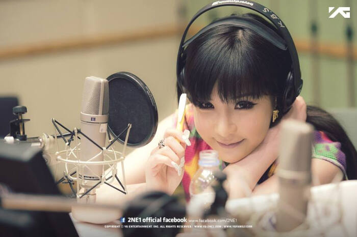 2ne1 朴春 park bom