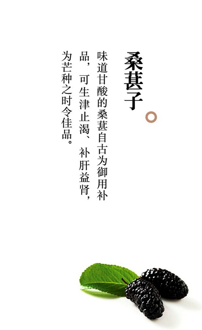 桑葚(图片源自乐活良品杂志)