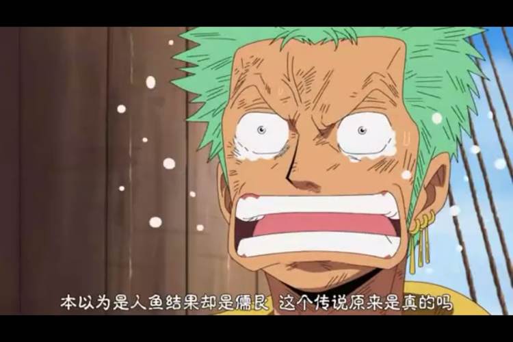 索隆如此绝望的表情.可想而知对他打击是有多大