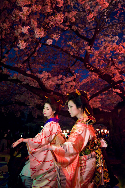 艺妓,中文或作艺伎,是日本特有的一种女性表演艺术工作者;其工作内容