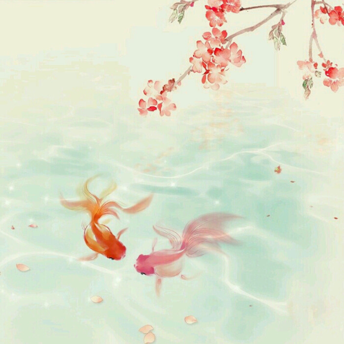 壁纸#古风#锦鲤