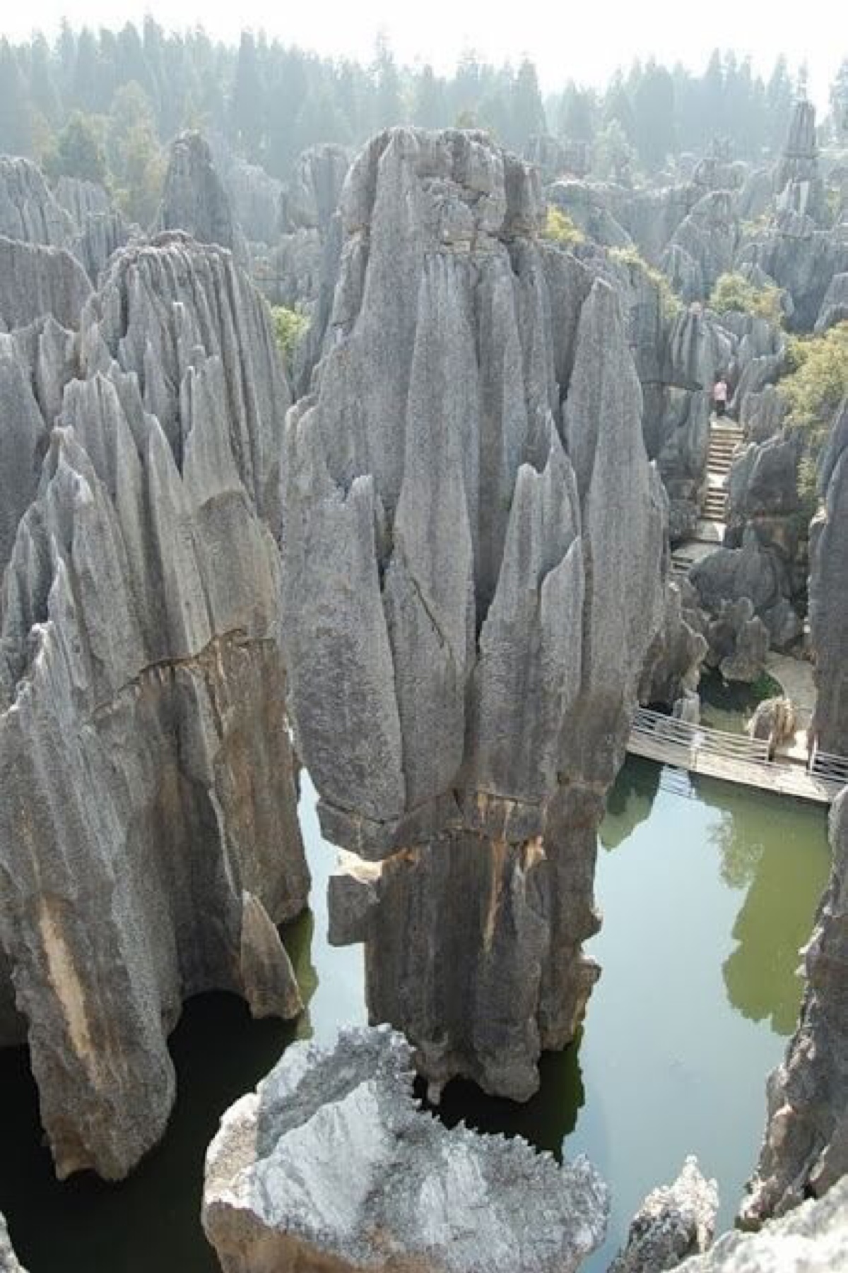 中国云南石林stone forest