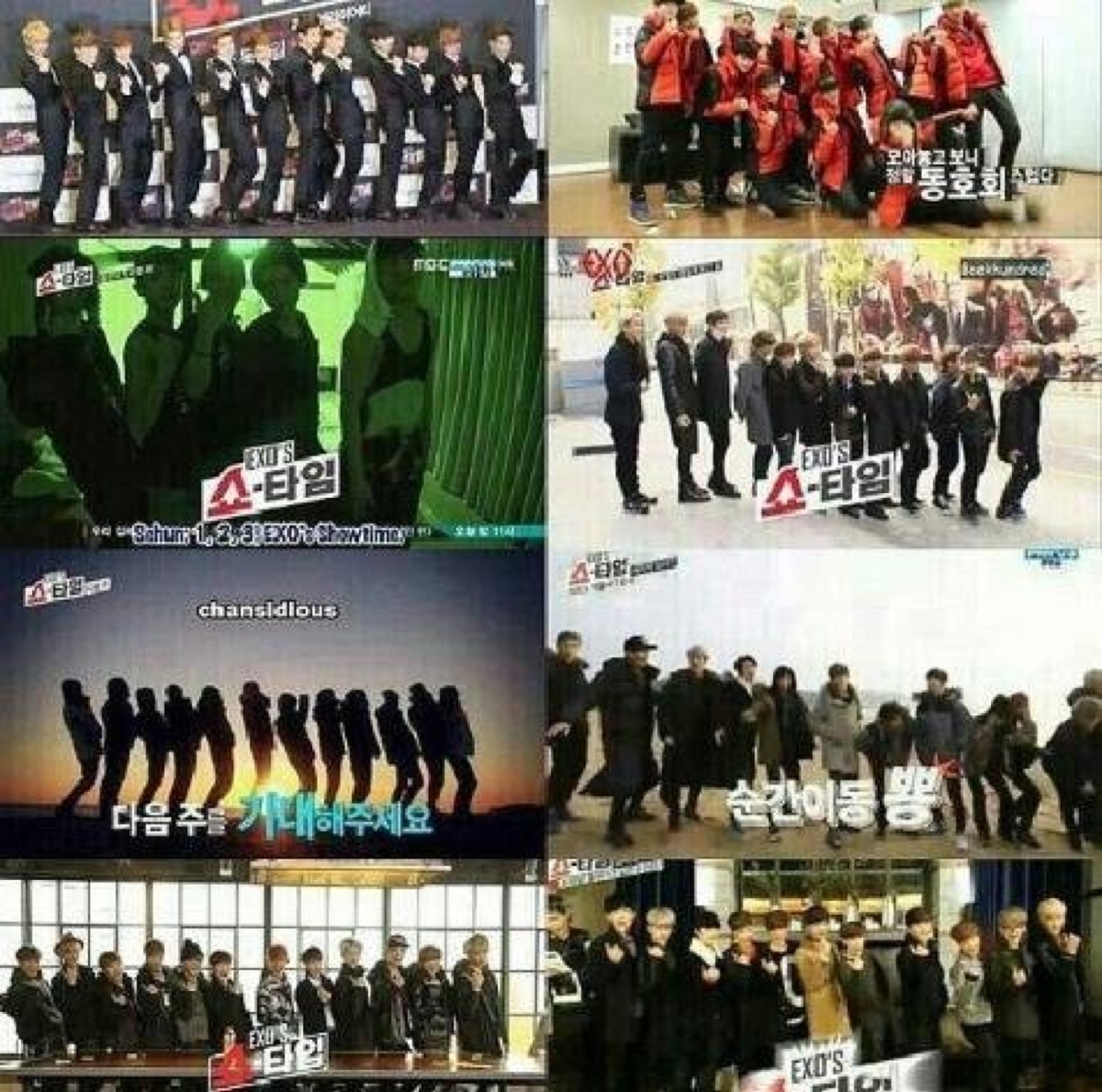 exo 12只 showtime