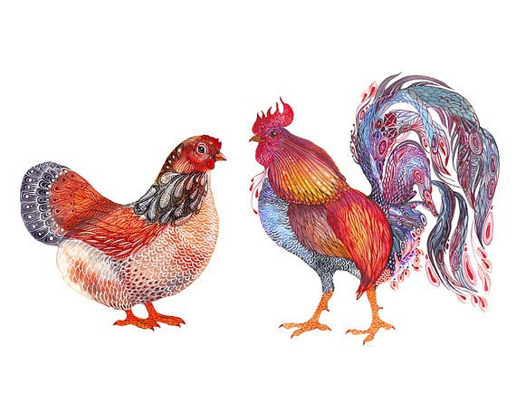 以色列画家ola liola的水彩动物画