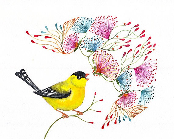 以色列画家ola liola的水彩动物画