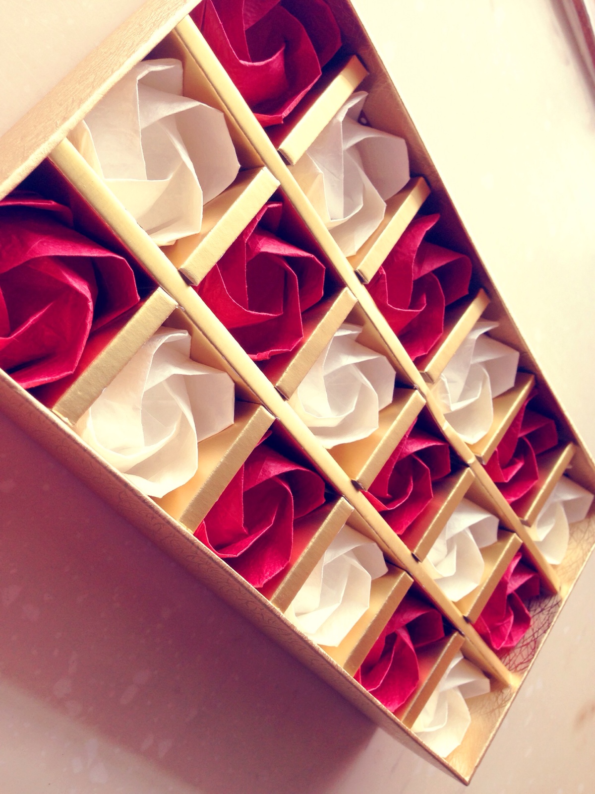 川崎玫瑰真花图片