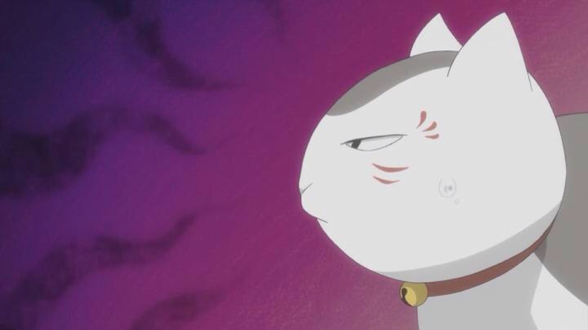 猫老师